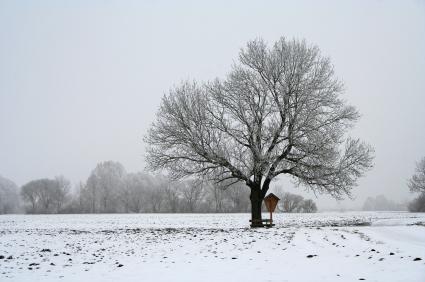 Seasonal Affective Disorder, And What Your Should Look Out For